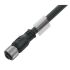 Sensor-Aktor-Leitung SAIL-M12BG-5BS5.0U