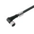 Sensor-Aktor-Leitung SAIL-M12BW-4S60U