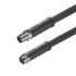 Sensor-Aktor-Leitung SAIL-M12G#2490240800