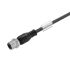 Sensor-Aktor-Leitung SAIL-M12G-4-10Y