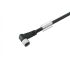 Sensor-Aktor-Leitung SAIL-M8BW-4-7.5V