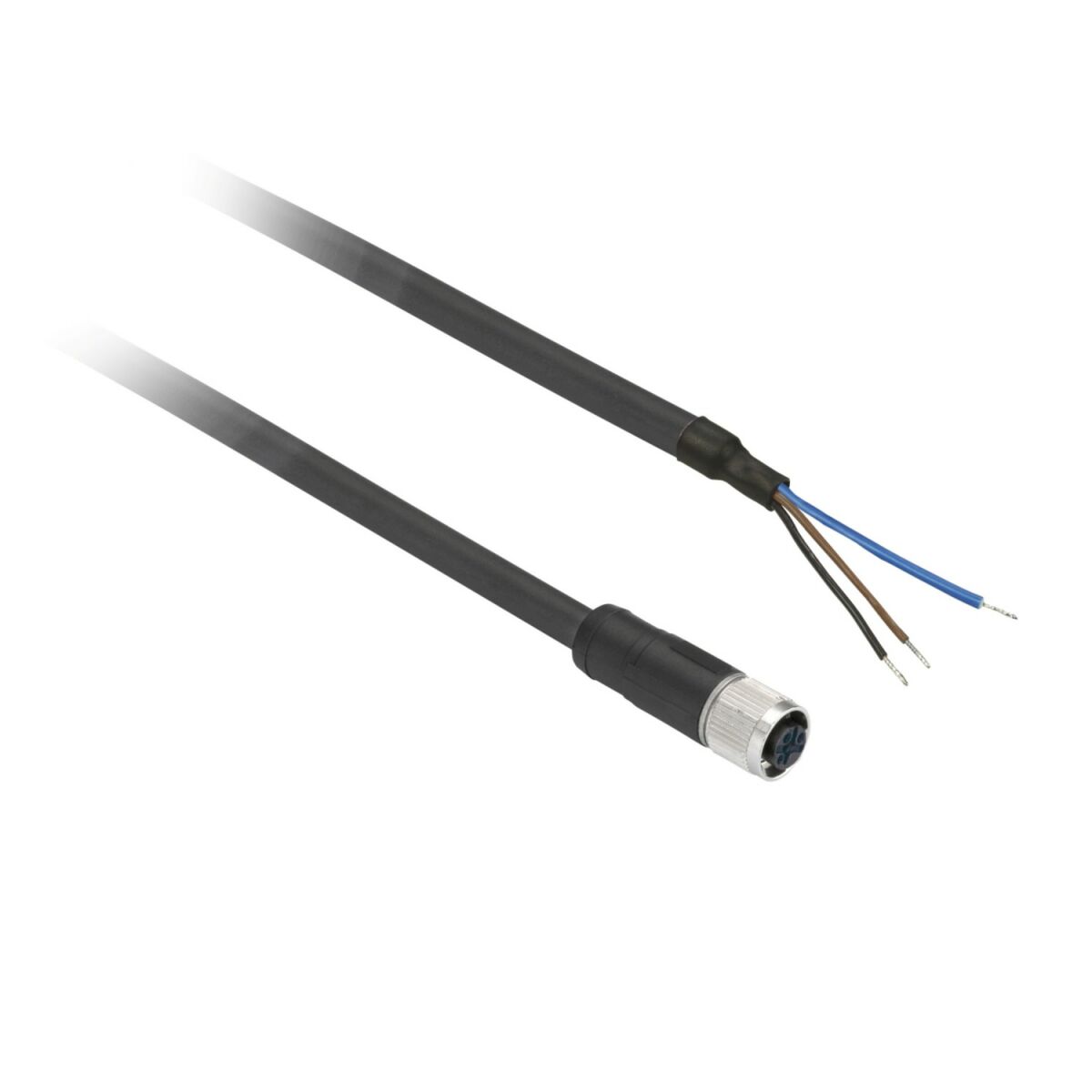 Leitungsdose XZCP0166L2