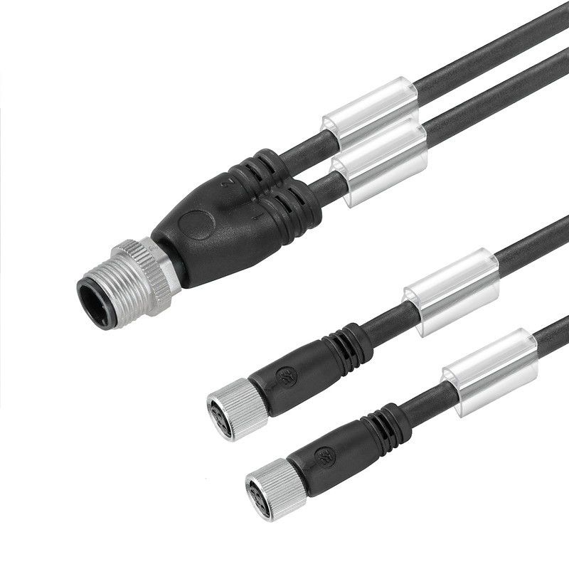 Zubehör SAI Leitung SAIL-ZW-M8BG-3-0.3U