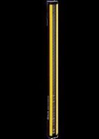 Sicherheitslichtvorhang C4P-EG12031C00