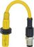 PSEN ma1.3-20 M12/8-0.15m 526129