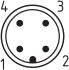 Sicherheitsschalter AZ 16 ST1-ASRASI-SAW