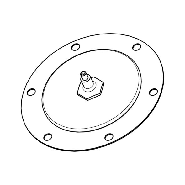 Membrane XMLZL013