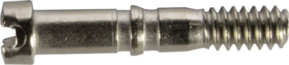 Verriegelungsschraube 09670029091
