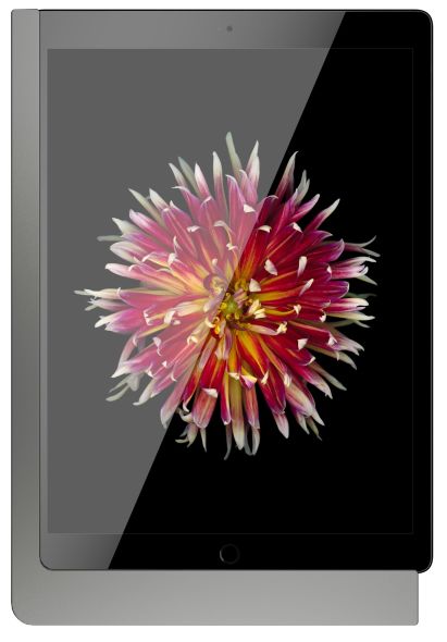 iPad Wandhalterung 510181LAN