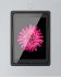 iPad Wandhalterung 210170
