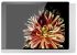 iPad Wandhalterung 510170PD