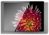 iPad Wandhalterung 510171PD