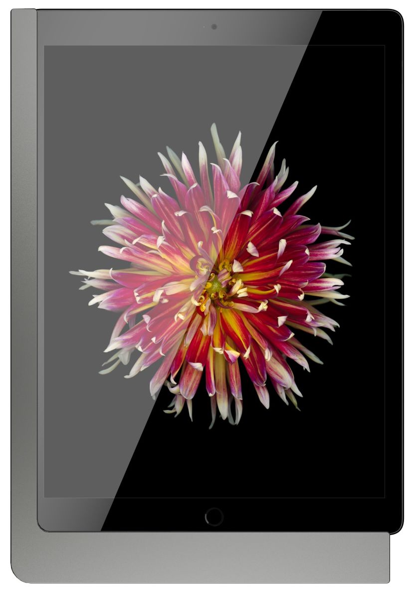 iPad Wandhalterung 510161PD