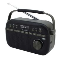 DAB+/UKW-RDS Digitalradio DAB280SW sw