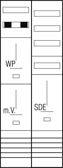 Komplett-Zählerplatz Z29D424N