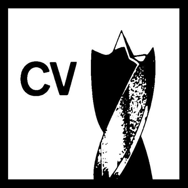 Holzspiralbohrer 2608596309