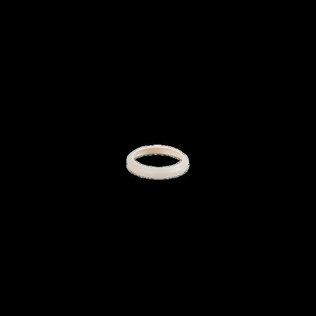 Dichtring E30459