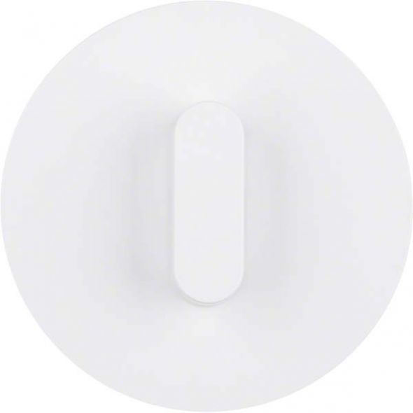 Abdeckplatte 1001208900 polarweiß glänzend