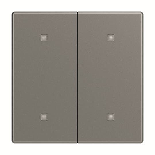 Wippe 2-fach 2570-20-803