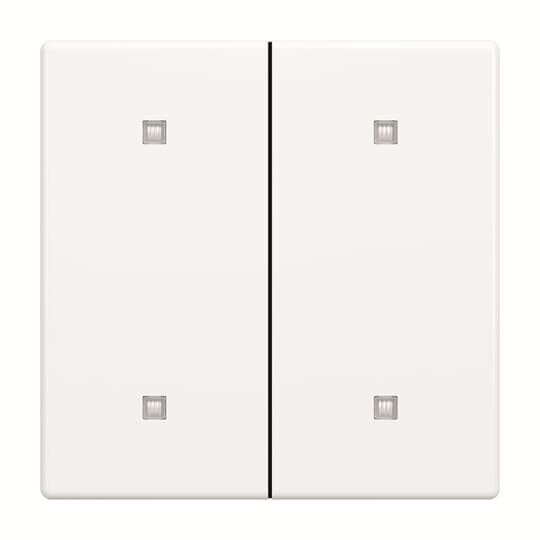 Wippe 2-fach 2570-20-84