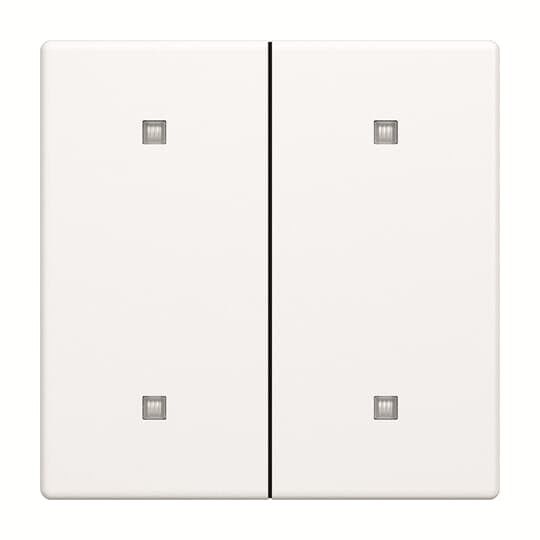 Wippe 2-fach 2570-20-884