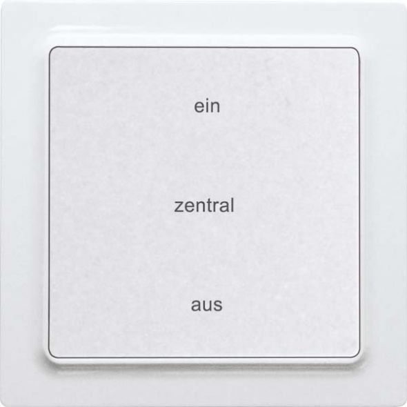 Funk-2-K.-Zentralst.taster F2ZT55E-wg