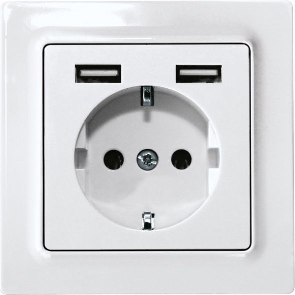 Schutzkontakt-Steckdose DSS55E+2xUSBA-wg