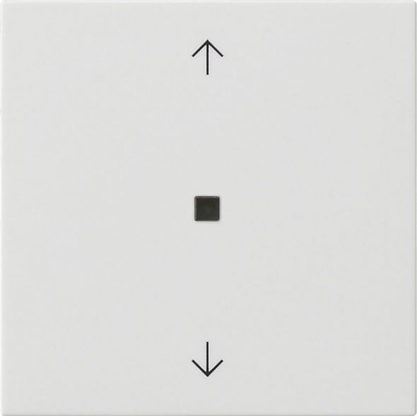 Funk-Bedienaufsatz 549403 reinweiß glänzend