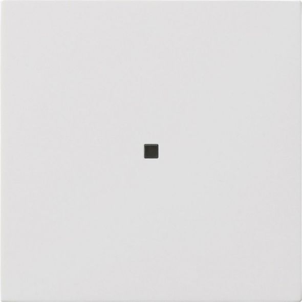 Wippe 1-fach 5371112