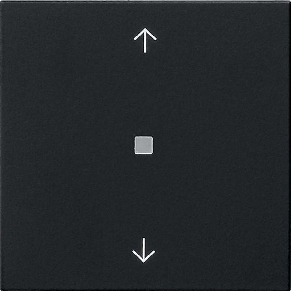 Wippe 1-fach 5388005