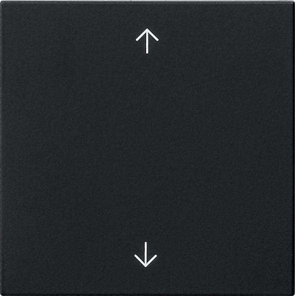 Wippe 1-fach 5389005