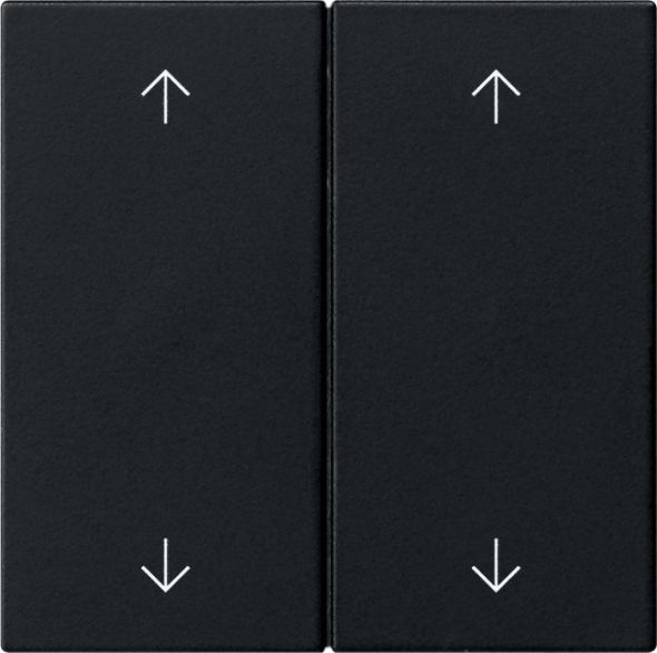 Wippe 2-fach 5387005