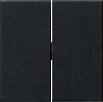 Wippe 2fach Tastschalter 0915005