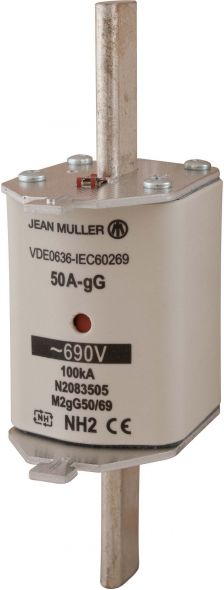 NH-Sicherungseinsatz M2gG 250/69