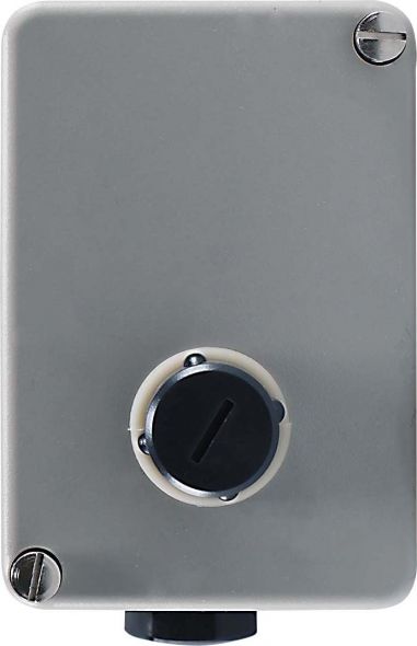 Thermostat 60000189