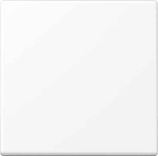 Blind-Abdeckung A594-0PLWWM