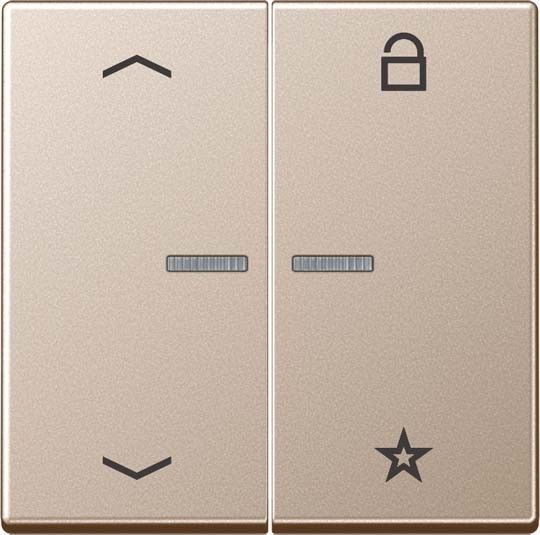 eNet Funk-Steuertaste FM A 1701 P CH