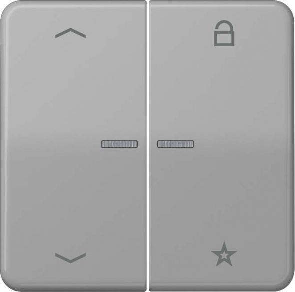 eNet Funk-Steuertaste FM CD 1701 P GR