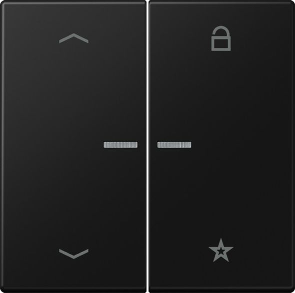eNet Funk-Steuertaste FM LS 1701 P SWM