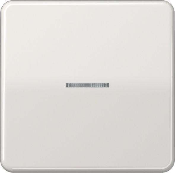 KNX RF Taster 1fach CD 10911 ST RF LG