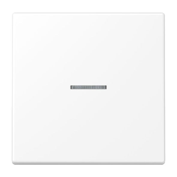 KNX RF Taster 1fach LS 10911 ST RF WWM