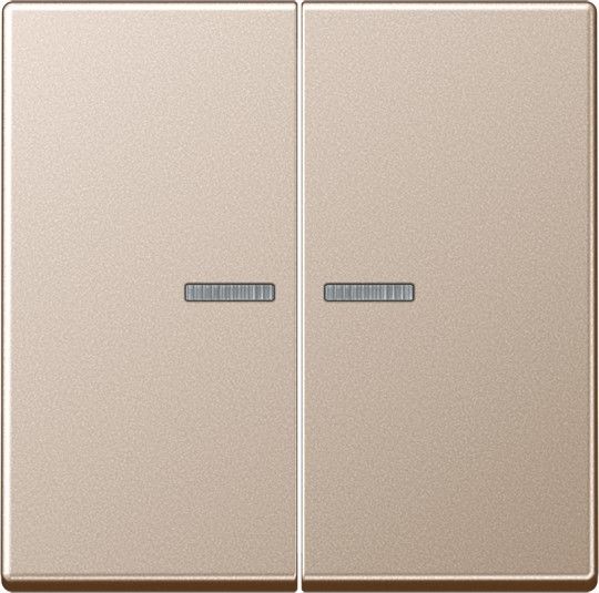 KNX RF Taster 2fach A 10921 ST RF CH