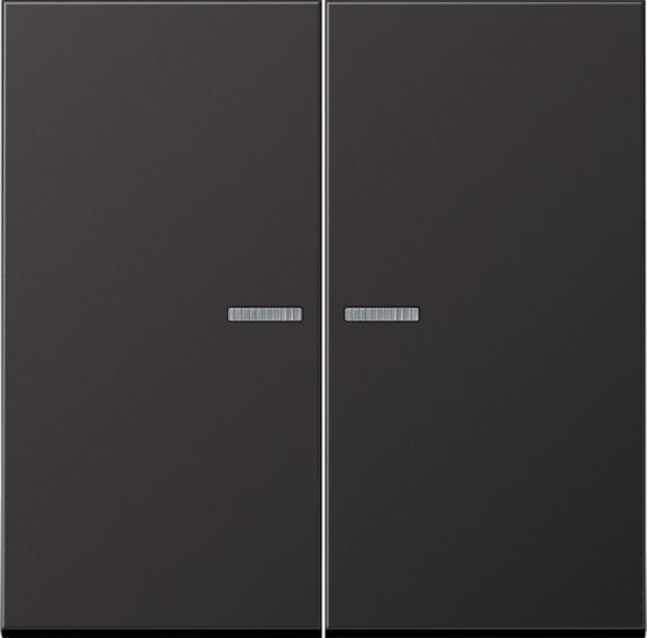 KNX RF Taster 2fach AL 10921 ST RF D