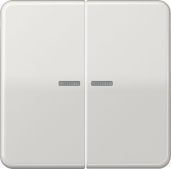 KNX RF Taster 2fach CD 10921 ST RF LG