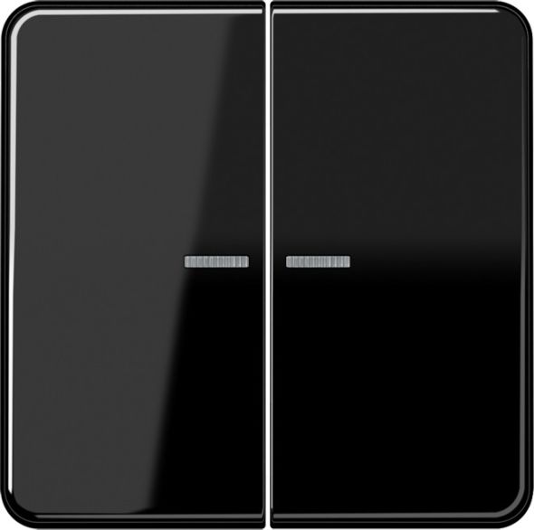 KNX RF Taster 2fach CD 10921 ST RF SW