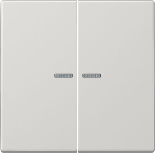 KNX RF Taster 2fach LS 10921 ST RF LG