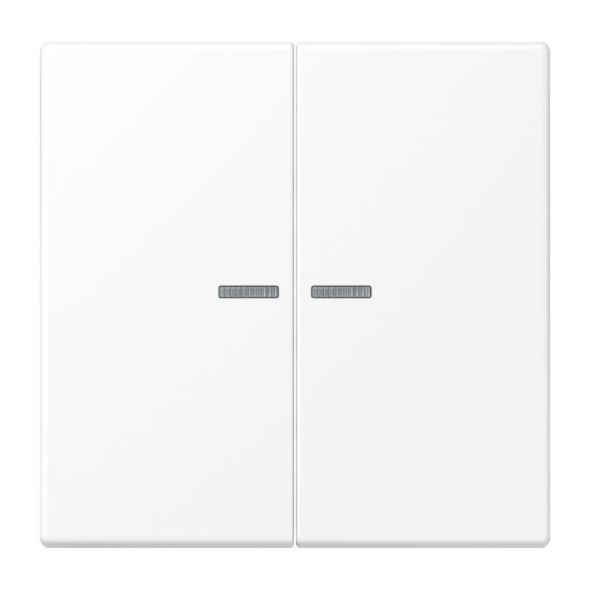 KNX RF Taster 2fach LS 10921 ST RF WWM