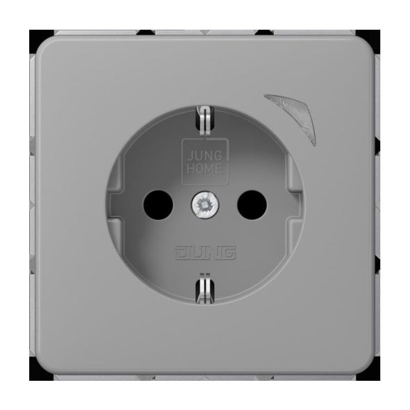 SCHUKO Steckdose 16 A 250V BT CD 1521 S GR