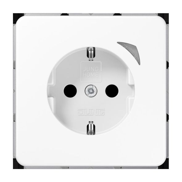 SCHUKO Steckdose 16 A 250V BT CD 1521 S WW