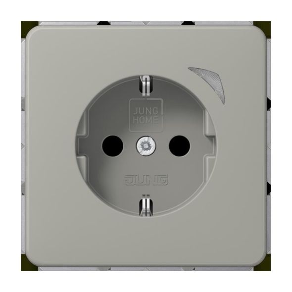 SCHUKO Steckdose 16 A 250V BT CD 1521 SE PT